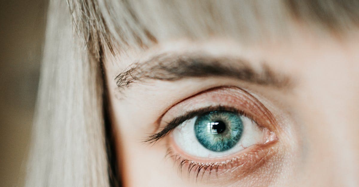 Cover image for Elevate Your Beauty: Discover the Transformative Power of Brow Lifts