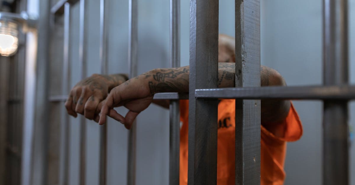 Cover image for The Complex Web of Criminal Justice: Understanding Its Impact on Society