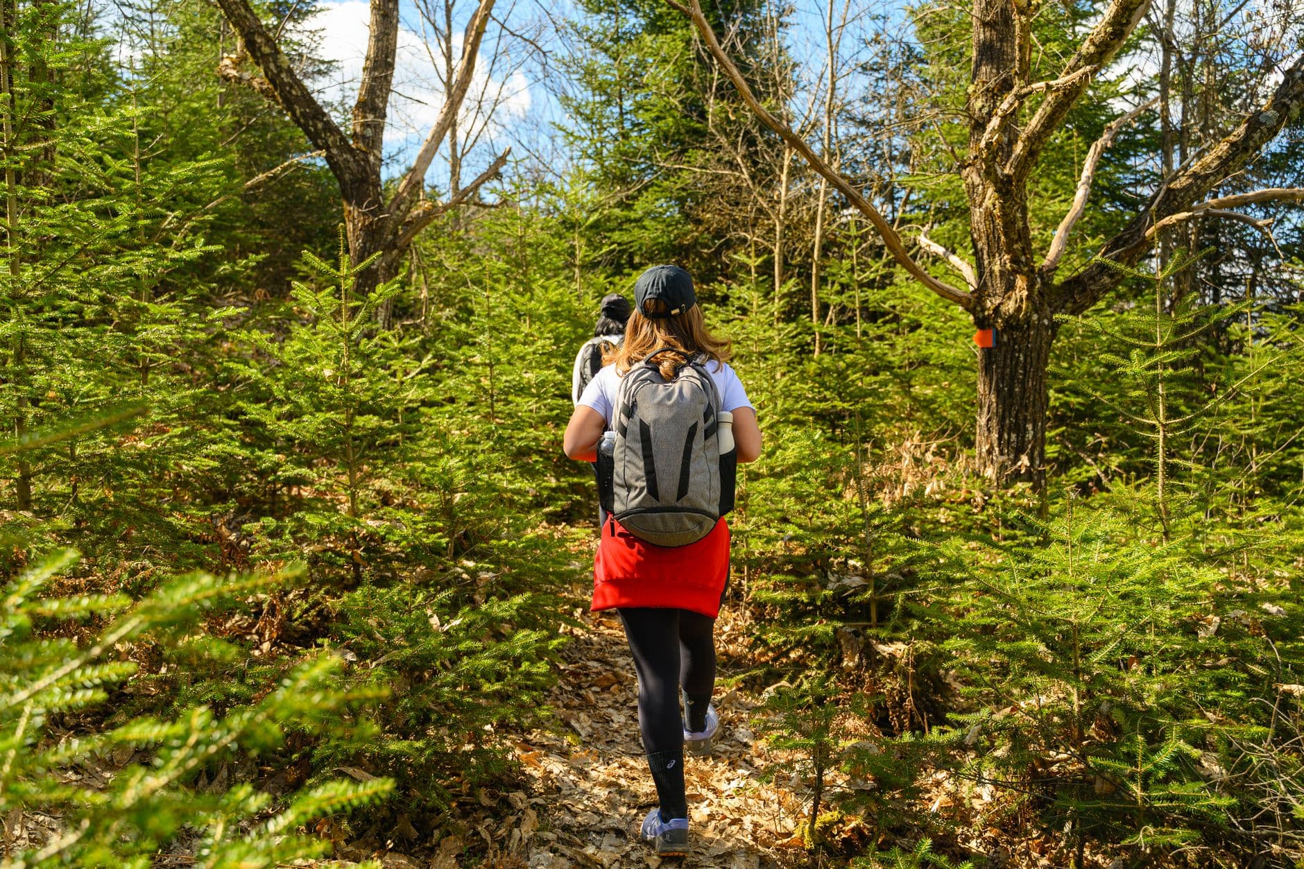 Cover image for Day Hike Readiness Checklist: What to Confirm Before You Go