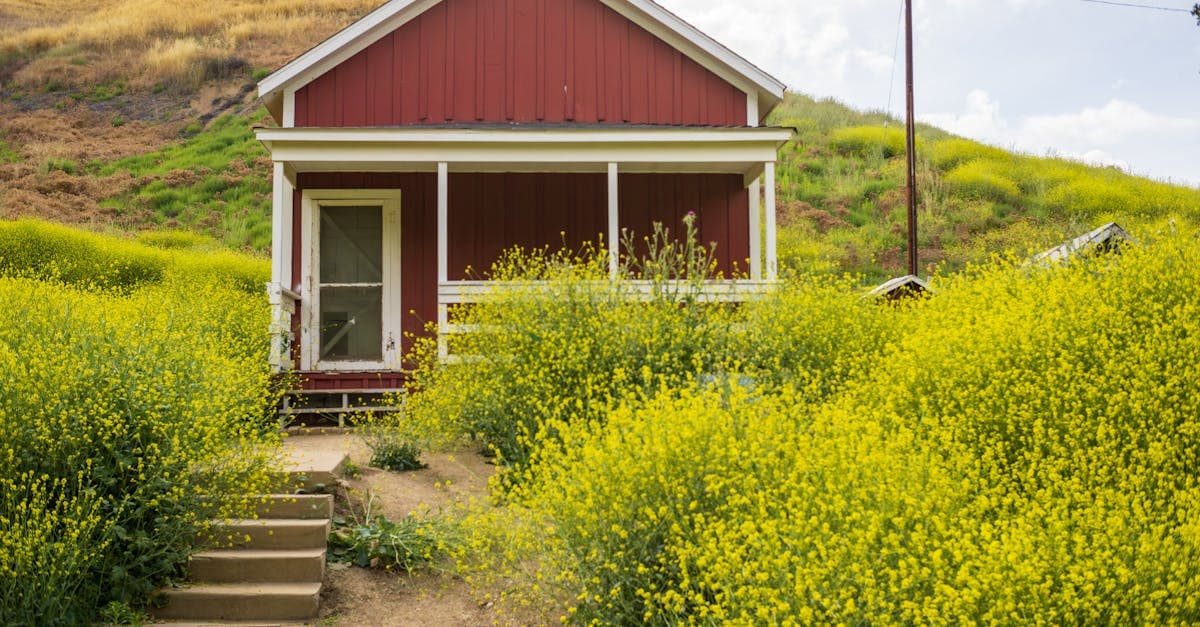 Cover image for Homestead Living Unplugged: Your Ultimate Journey to Eco-Friendly Self-Reliance