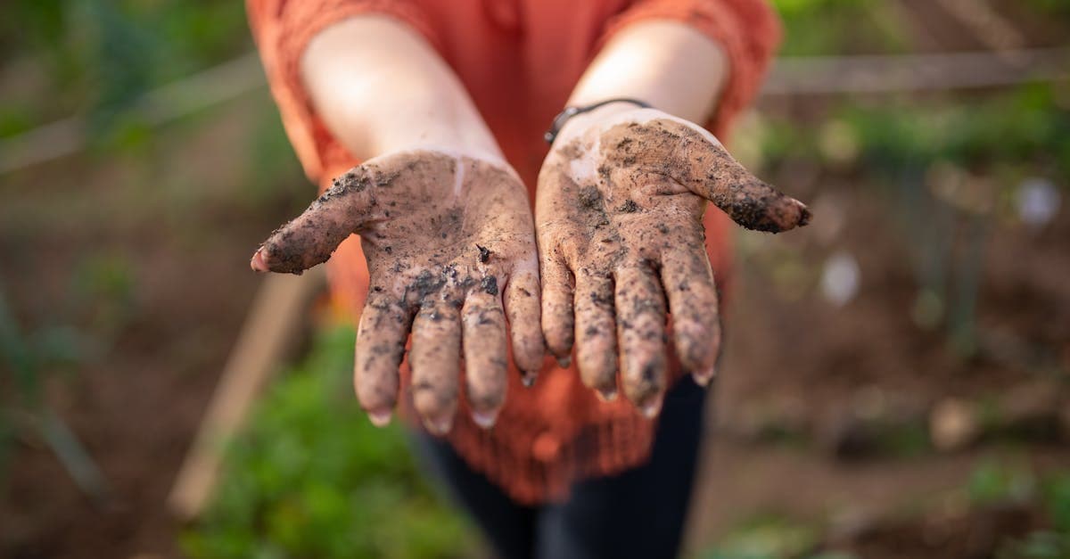 Cover image for Back to Basics: Unleashing the Potential of Homesteading Programs