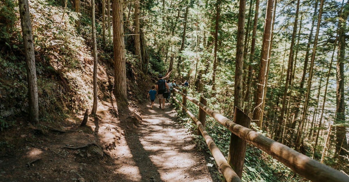 Cover image for Transform Your Postpartum Body: Discover the Magic of Mommy Makeovers