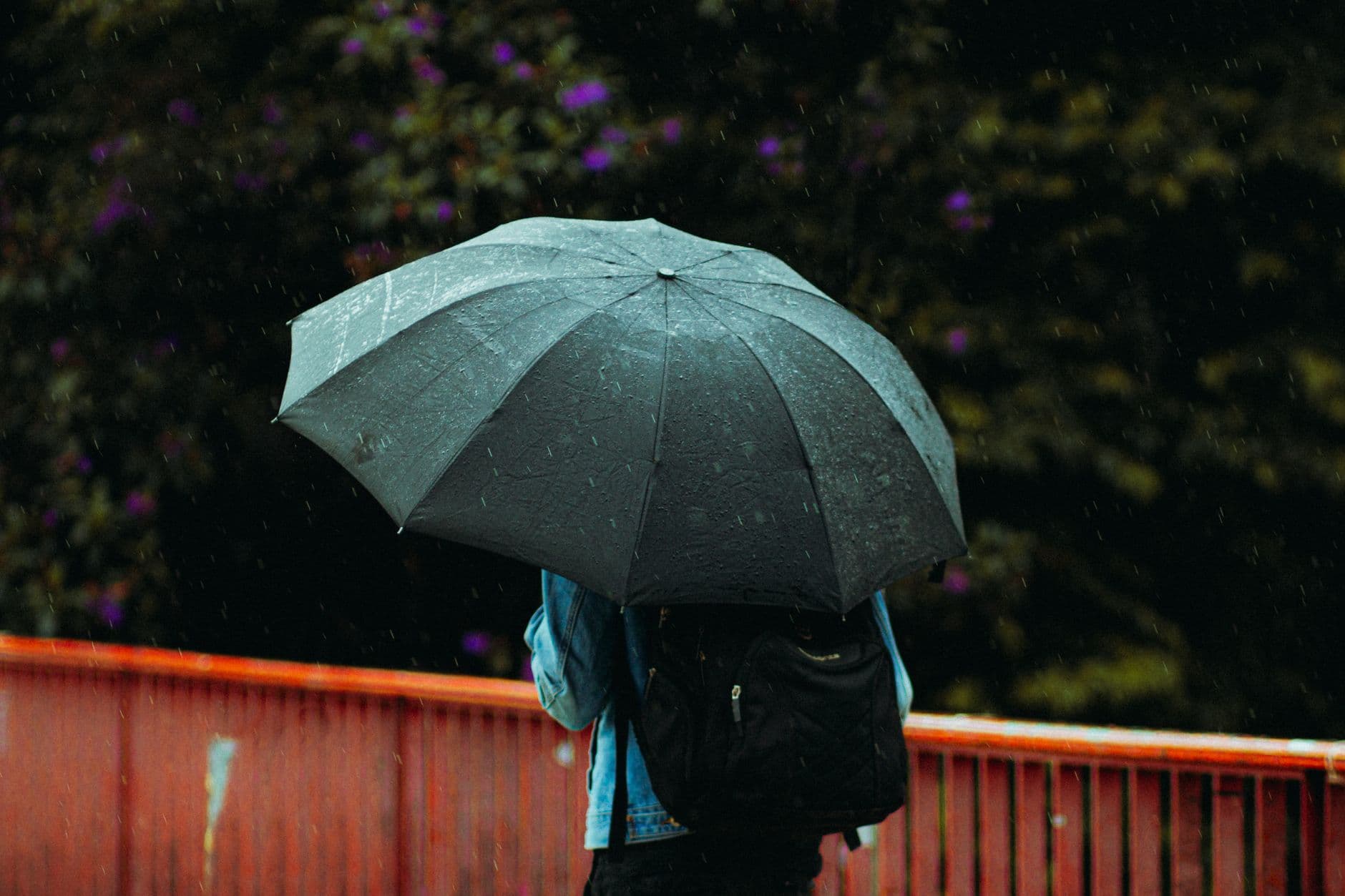 Cover image for Rain Shell, Poncho, or Umbrella: Choosing for the Trip