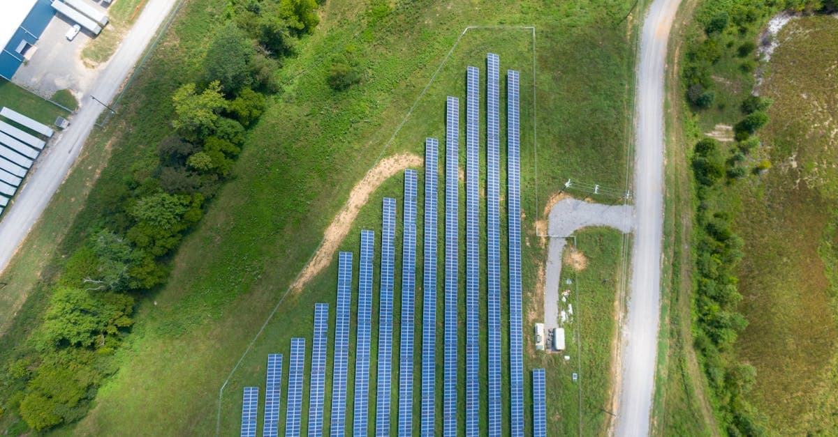 Cover image for Solar Panels Explained: Revolutionize Your Energy Consumption Today!