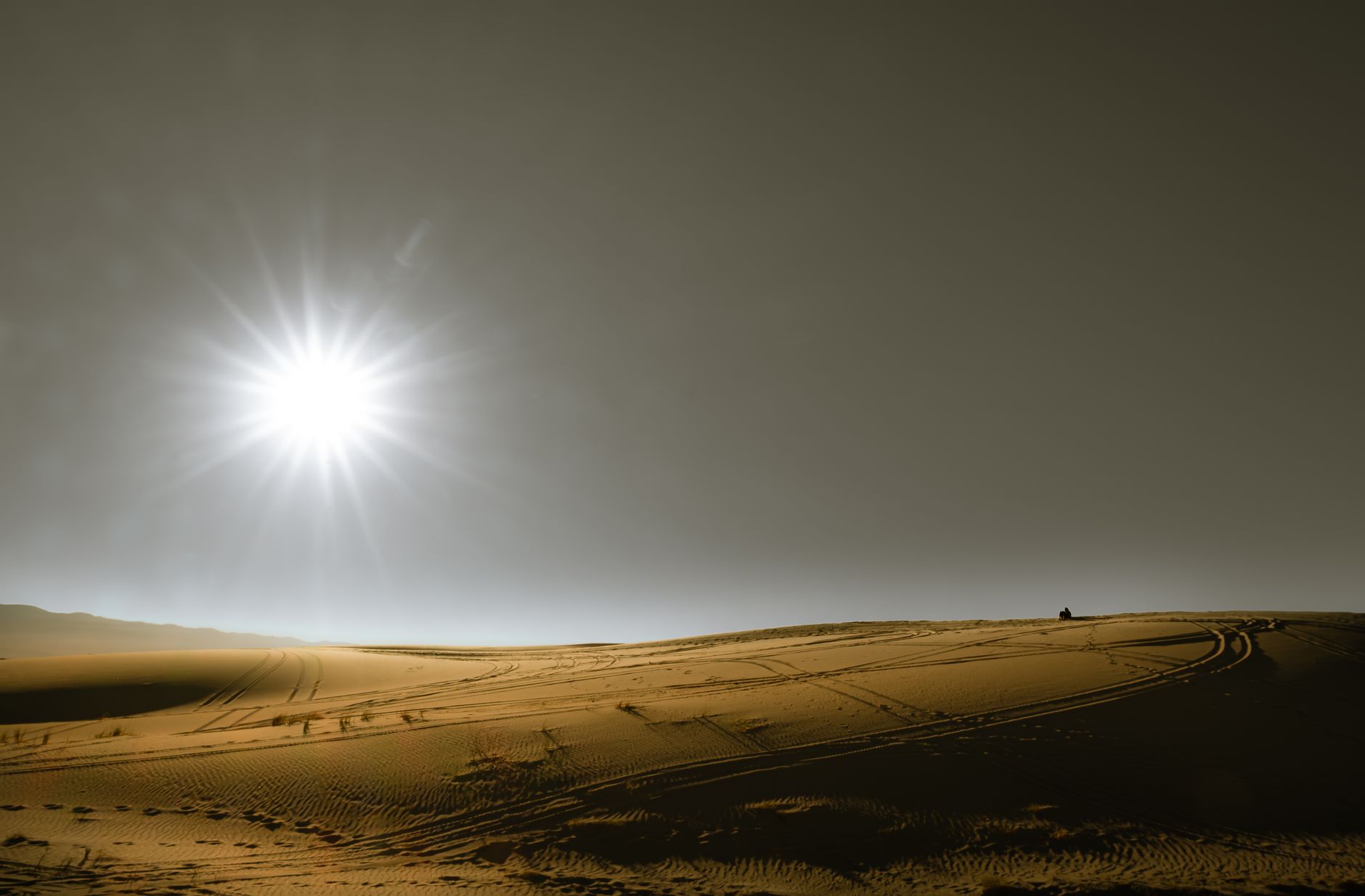 Dramatic desert dunes with strong sunlight creates a breathtaking arid landscape.